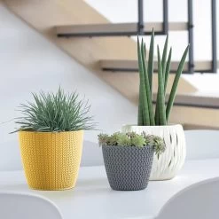 Prosperplast Maceta WHEATY 3,5L 189x189x167 Blanco 13 Prosperplast Maceta WHEATY 3,5L 189x189x167 Blanco -Intemperie Jardinería Tienda 0b741e332795d74d