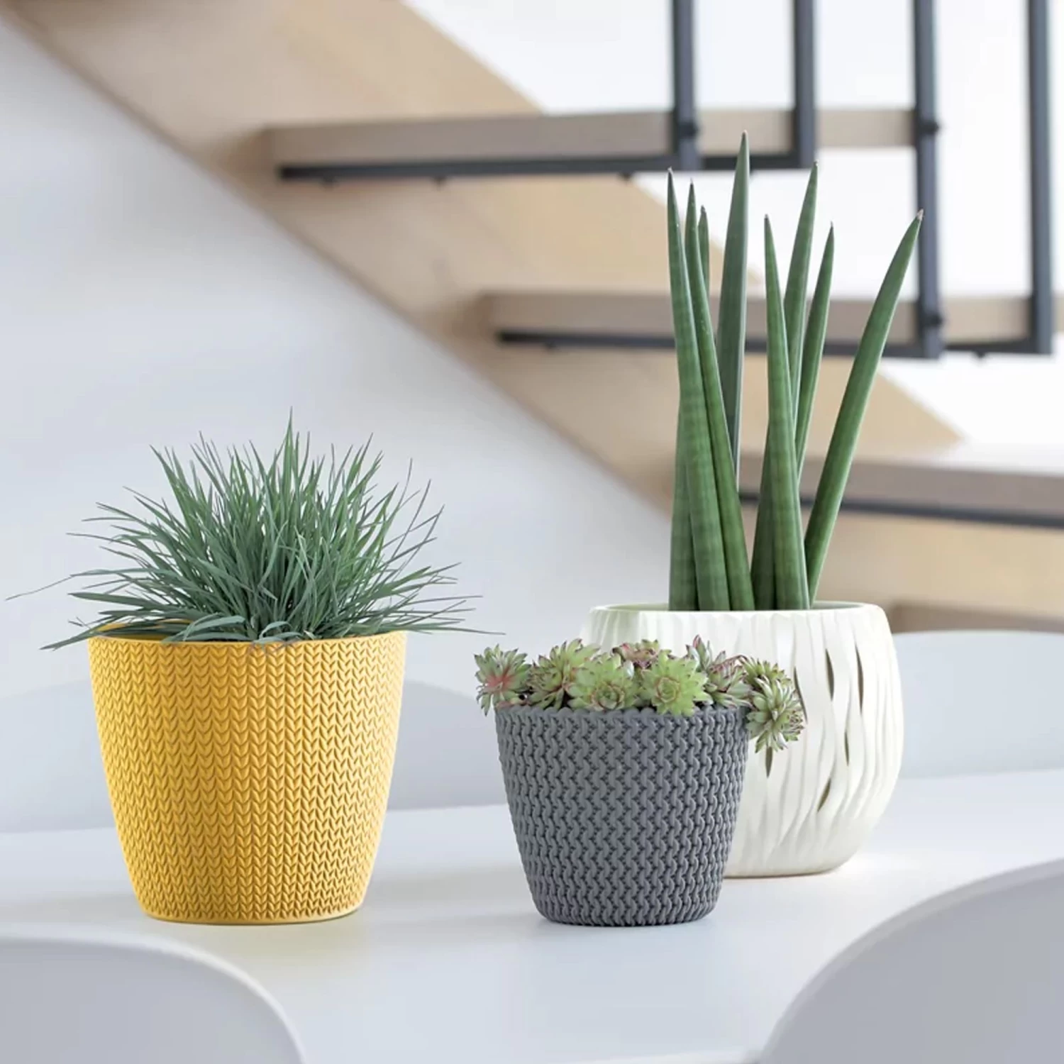 Prosperplast Maceta WHEATY 3,5L 189x189x167 Blanco 8 Prosperplast Maceta WHEATY 3,5L 189x189x167 Blanco - Imagen 6