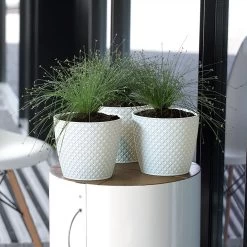 Prosperplast Maceta ORIENT 3,5L 189x189x167 Crema -Intemperie Jardinería Tienda 1d15551399a2a6ef