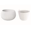 Prosperplast Maceta Redonda Con Deposito Splofy Bowl Plastico Blanco 37x37x21 Cm -Intemperie Jardinería Tienda 2be7682861997c17