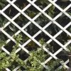 Celosía Extensible Rombos Trelliflex De PVC Blanco Nortene 144 X 21 Cm -Intemperie Jardinería Tienda 3260821701068 21c BI