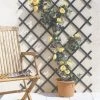 Celosía Extensible Rombos Trelliflex De PVC Verde Nortene 144 X 21 Cm 1 Celosía Extensible Rombos Trelliflex De PVC Verde Nortene 144 X 21 Cm -Intemperie Jardinería Tienda 3260821702065 21c BI