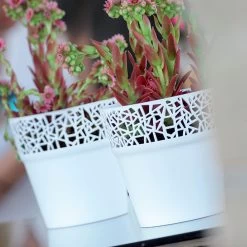 WellHome Pack 3 Macetas Plástico Tree Gris Hielo - 17,5x17,5x17,9 Cm -Intemperie Jardinería Tienda 3a2c4b6cb061a6e6