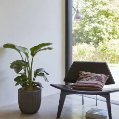 Capi Macetero Urban Tube 54x52 Cm Negro KBLT935 -Intemperie Jardinería Tienda 3ad5c0a7d186d992