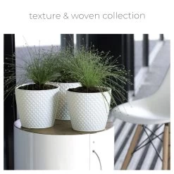 Los recién llegados -Intemperie Jardinería Tienda 3ae74b87a3f54867