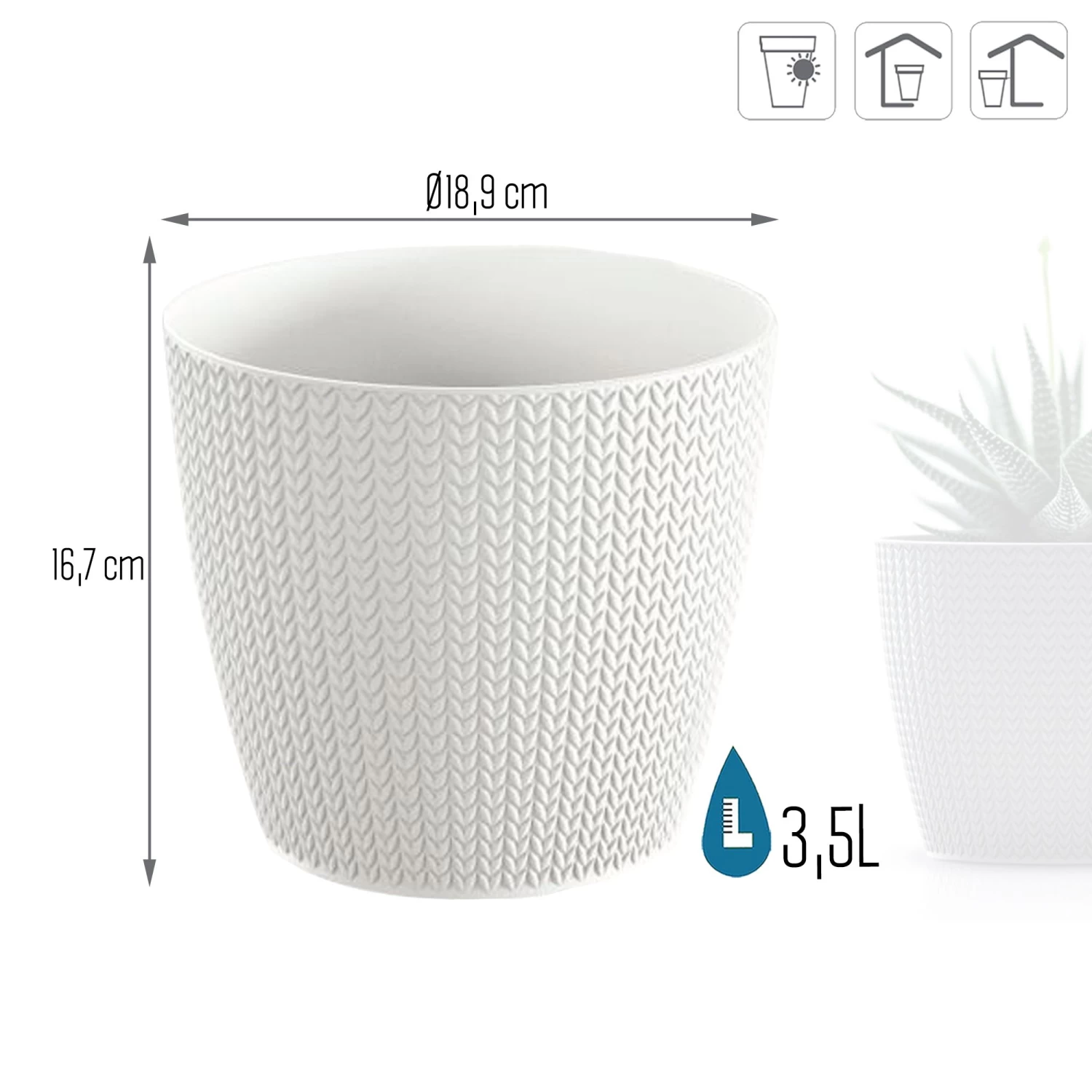 Prosperplast Maceta WHEATY 3,5L 189x189x167 Blanco 5 Prosperplast Maceta WHEATY 3,5L 189x189x167 Blanco - Imagen 3