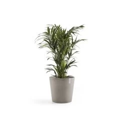 Ecopots Maceta Redonda Amsterdam 60 Taupe - ø 60 X H. 54,8 Cm - 100 L -Intemperie Jardinería Tienda 4b4efefd387dc8ac