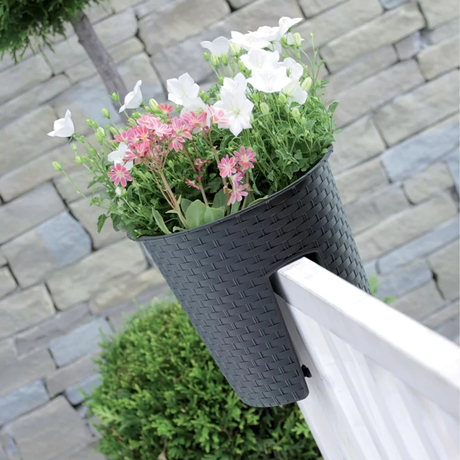 Prosperplast Maceta RATOLLA OVAL 6L 298x242x225 Mocca 6 Prosperplast Maceta RATOLLA OVAL 6L 298x242x225 Mocca - Imagen 4