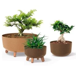 Prosperplast Macetero Blanco Roto GRACIA 28,5 X28,5 X22 Cm 9,8 L -Intemperie Jardinería Tienda 4f448076cc1dd522