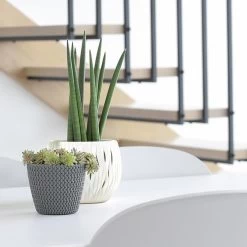 Prosperplast Maceta Redonda 28,2L Maceta Splofy Plastico AntracitaØ39,1 X33 Cm -Intemperie Jardinería Tienda 54d723f7674643da