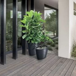 Prosperplast Maceta FREZE - Oval 74LCon Depósito 593x393x585 Antracita -Intemperie Jardinería Tienda 57c5e9c18364d654