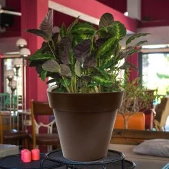 WellHome Macetero Polietileno Por Rotomoldeo Bronce 35x30 Cm 12 WellHome Macetero Polietileno Por Rotomoldeo Bronce 35x30 Cm -Intemperie Jardinería Tienda 5cfe114847ace37e