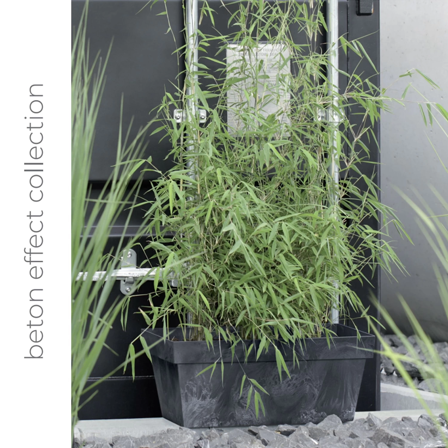 Prosperplast Maceta CUBE BETON EFFECT 12L., 300x300x266, Color Antracita 4 Prosperplast Maceta CUBE BETON EFFECT 12L., 300x300x266, Color Antracita - Imagen 2