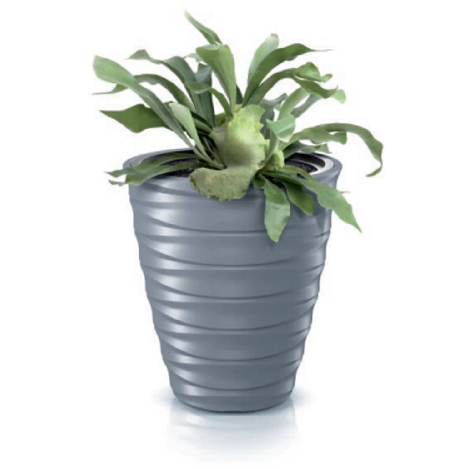 Prosperplast Maceta FREZE 28L., Con Depósito, 383x383x419, Color Gris Claro 5 Prosperplast Maceta FREZE 28L., Con Depósito, 383x383x419, Color Gris Claro - Imagen 3