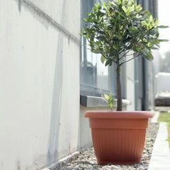 Prosperplast Maceta TERRA 3L 200x200x155 Antracita -Intemperie Jardinería Tienda 75a6425241806e54