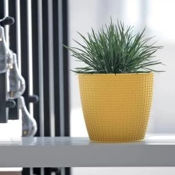 Prosperplast Maceta WHEATY 3,5L 189x189x167 Blanco 12 Prosperplast Maceta WHEATY 3,5L 189x189x167 Blanco -Intemperie Jardinería Tienda 805a4ef202768408