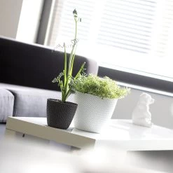 Prosperplast Maceta Redonda 8L Maceta Splofy Plastico CremaØ25,9 X22 Cm -Intemperie Jardinería Tienda 83531543a5943ac0