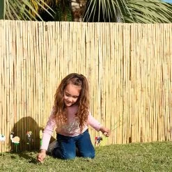 Cañizo Partido 2 X 5 M 7 Cañizo Partido 2 X 5 M -Intemperie Jardinería Tienda 8431978100034 23c BI