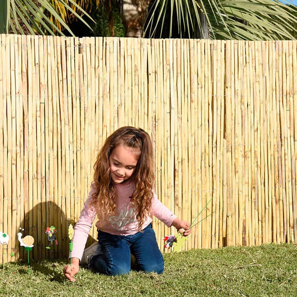 Cañizo Partido 2 X 5 M 5 Cañizo Partido 2 X 5 M - Imagen 3