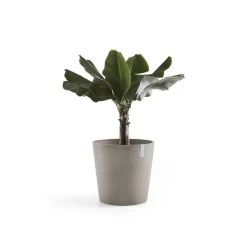 Ecopots Maceta Redonda Amsterdam 60 Taupe - ø 60 X H. 54,8 Cm - 100 L -Intemperie Jardinería Tienda 8894e05f7f93ca94