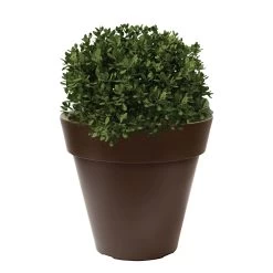 WellHome Macetero Polietileno Por Rotomoldeo Bronce 35x30 Cm 10 WellHome Macetero Polietileno Por Rotomoldeo Bronce 35x30 Cm -Intemperie Jardinería Tienda 9cc3c4b807380036