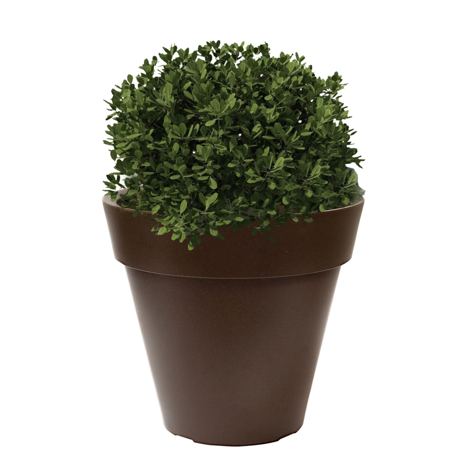 WellHome Macetero Polietileno Por Rotomoldeo Bronce 35x30 Cm 5 WellHome Macetero Polietileno Por Rotomoldeo Bronce 35x30 Cm - Imagen 3