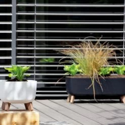 Prosperplast Macetero Antracita GRACIA 28,5 X28,5 X17,7 Cm 6,8 L -Intemperie Jardinería Tienda b6229c50499f5367