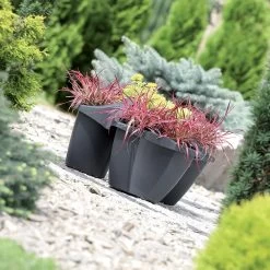 Prosperplast Maceta CROWN 16L 480x480x264 Antracita -Intemperie Jardinería Tienda cfcb856ec71c9c8e