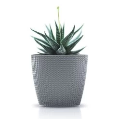 Prosperplast Maceta WHEATY 3,5L 189x189x167 Blanco 11 Prosperplast Maceta WHEATY 3,5L 189x189x167 Blanco -Intemperie Jardinería Tienda eb1d5aa76d6a93be