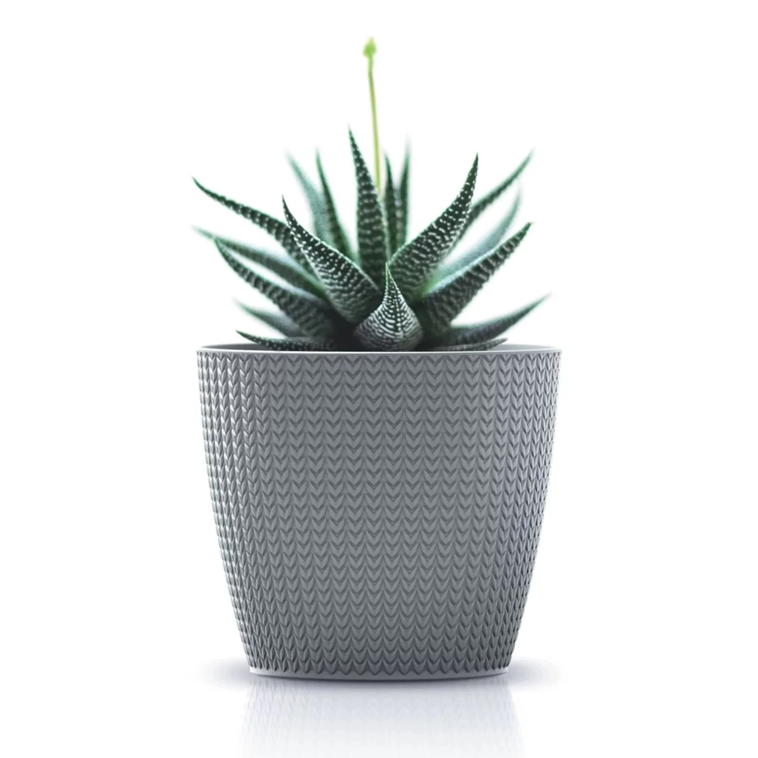 Prosperplast Maceta WHEATY 3,5L 189x189x167 Blanco 6 Prosperplast Maceta WHEATY 3,5L 189x189x167 Blanco - Imagen 4