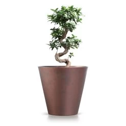 Prosperplast Maceta TUBUS CORTEN 12L 300x300x280 Cobre -Intemperie Jardinería Tienda f1dfc2167a251ca2