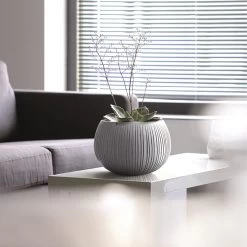 Prosperplast Maceta BETON BOWL Plástico CON Depósito Cemento16,1x23,8x23,8 Cms 18 Prosperplast Maceta BETON BOWL Plástico CON Depósito Cemento16,1x23,8x23,8 Cms -Intemperie Jardinería Tienda fd60543bdc5601e9