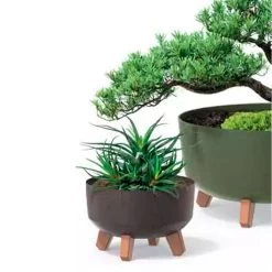 Prosperplast Macetero Blanco Roto GRACIA 28,5 X28,5 X22 Cm 9,8 L -Intemperie Jardinería Tienda fdb9a1f0c2759a7a