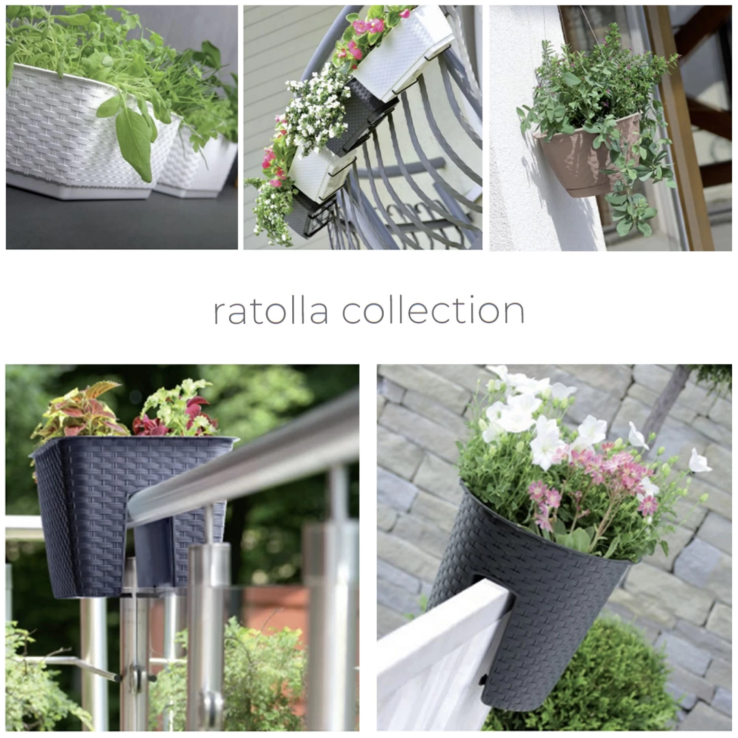 Prosperplast Maceta RATOLLA OVAL 6L 298x242x225 Mocca 4 Prosperplast Maceta RATOLLA OVAL 6L 298x242x225 Mocca - Imagen 2